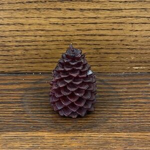 New Smith & Hawken Pine Cone Candle
